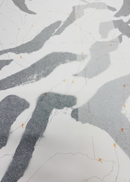 Anais Jarnoux tapissier·e