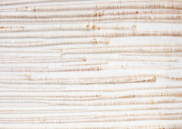 Anais Jarnoux tapissier·e