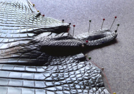 Anais Jarnoux tapissier·e