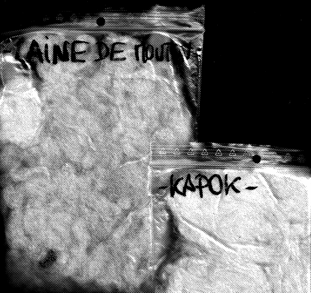 Anais Jarnoux tapissier·e