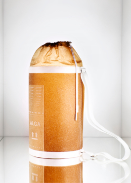 Anais Jarnoux tapissier·e