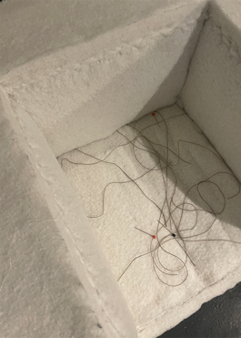 Anais Jarnoux tapissier·e