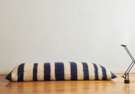 Anais Jarnoux tapissier·e