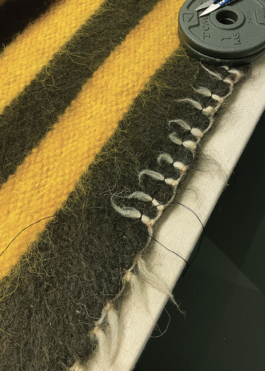 Anais Jarnoux tapissier·e