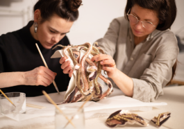 Anais Jarnoux tapissier·e