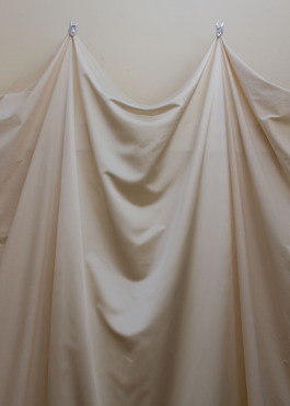 Anais Jarnoux tapissier·e