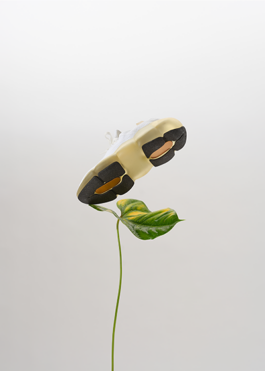 Anais Jarnoux tapissier·e