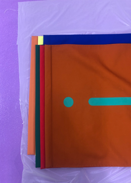 Anais Jarnoux tapissier·e