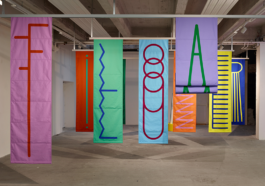 Anais Jarnoux tapissier·e