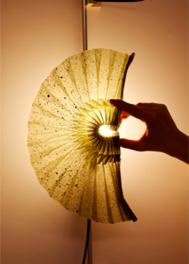 Anais Jarnoux tapissier·e