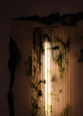 Anais Jarnoux tapissier·e