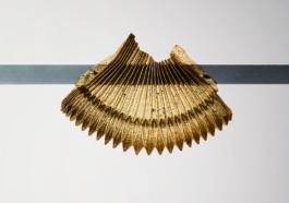 Anais Jarnoux tapissier·e