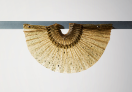 Anais Jarnoux tapissier·e